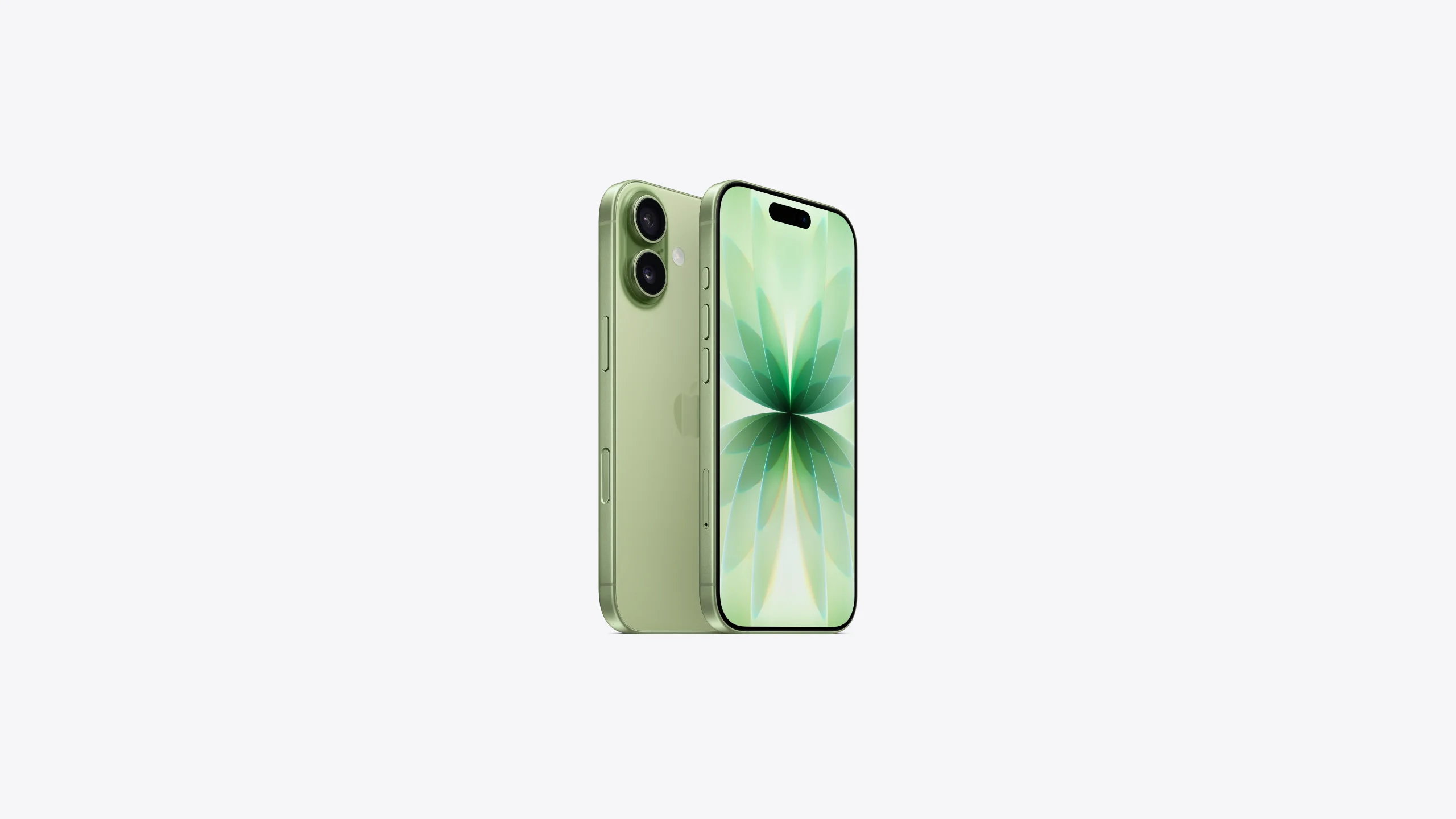 iPhone 17 – Image 5