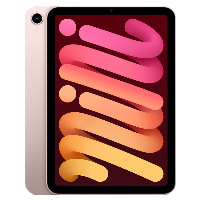 iPad mini